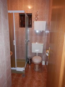 Koupelna v ubytování Apartment Danica