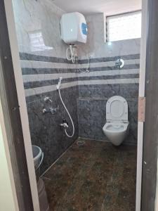 a bathroom with a toilet and a shower at Lotus Villa Hampi in Hospet