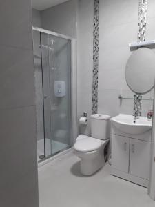 a bathroom with a toilet and a shower and a sink at HomefromHome in Rosslare +28 photos