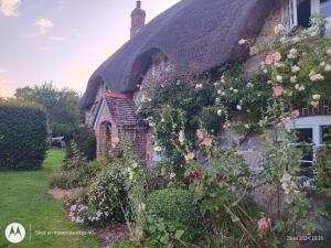 an ivy covered building with roses growing on it at The Cottage in Fyfield