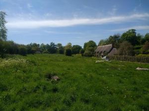 a field of green grass with a house in the background at The Cottage in Fyfield