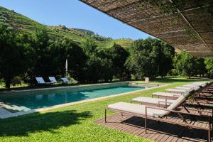 a row of lounge chairs next to a swimming pool at Quinta do Vallado - Douro Wine Hotel in Peso da Régua
