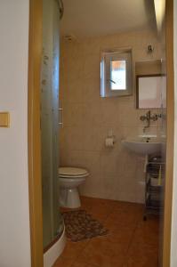 a bathroom with a toilet and a sink at ubytování MILUMI in Strážnice