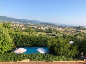an aerial view of a swimming pool surrounded by trees at Tetto Verde in Carolei