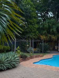 a swimming pool in a yard with plants and trees at Amira Boutique Villa in Empangeni