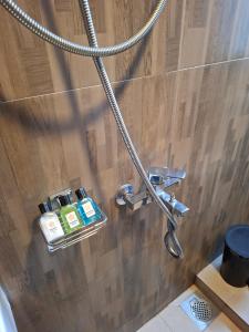 a bathroom with a shower with a shower head at Kandy City Inn in Kandy
