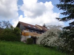 a house on top of a hill with green grass at Les Epinettes Studio Prairie in Gérardmer +10 photos