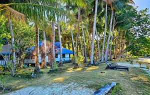 a house in the middle of a forest of palm trees at DK2 Resort - Remote Beach Hideaway - Fast WiFi - Private Tours by Arrangement - Plan Ahead in El Nido