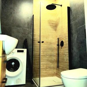 a shower in a bathroom with a toilet and a washing machine at Klonowicza One in Leszno