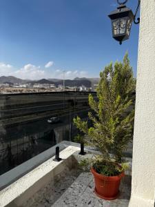 a tree in a pot on a balcony with a street light at Samo Apartment in Taif