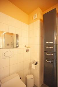 a small bathroom with a toilet and a shower at Atelier am Hochrhein in Büsingen +15 photos