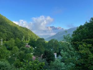 a view of a valley with a mountain in the background at Camping el Cares in Santa Maria de Valdeón