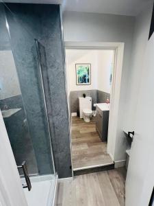 a bathroom with a shower and a toilet at Yastayzzz Studio 2 Worcester House with Free Parking in Worcester