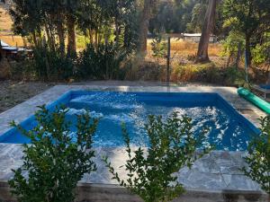a swimming pool in a yard with trees at Domo, Cabaña, El Rulo Coinco in Rancagua +9 photos