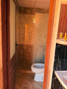 a bathroom with a toilet and a sink at Luxury Camp Wadi Rum in Disah