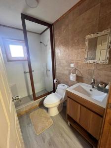 a bathroom with a toilet and a sink and a mirror at Departamentos Confluencia in Cochrane