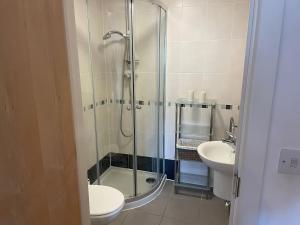 a bathroom with a shower and a toilet and a sink at Broadleys in Swanage +14 photos