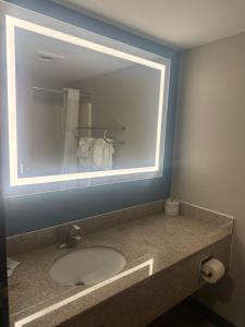 a bathroom counter with a sink and a mirror at Quality Inn & Suites Detroit Metro Airport in Romulus +6 photos