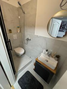 a bathroom with a toilet and a sink and a mirror at Modern Compact Studio near Frankfurt in Karben