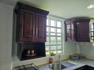 a kitchen with wooden cabinets and a sink and a window at Modern 1 Bedroom Apartment Near Roseau in Canefield +15 photos