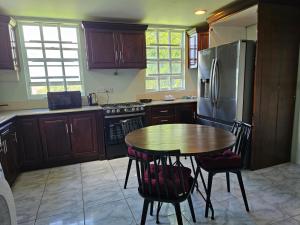 a kitchen with a table and a stainless steel refrigerator at Modern 1 Bedroom Apartment Near Roseau in Canefield