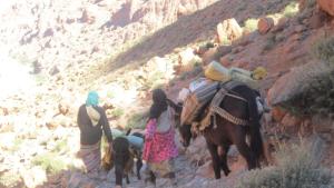 a group of people walking up a mountain with a camel at Kasbah Maison D’hôte Lalla Zahra in Aït Baha
