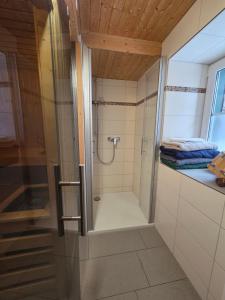 a shower with a glass door in a bathroom at Harznester Schierke in Schierke +36 photos