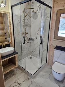 a bathroom with a shower with a toilet and a sink at WHY NOT Myśliwska Exclusive Residence z basenem in Kościelisko