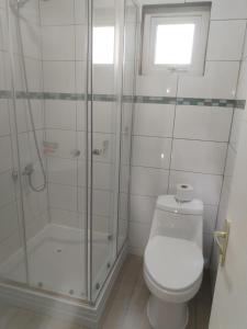 a white bathroom with a shower and a toilet at Cabañas Drü 3 in Coihaique