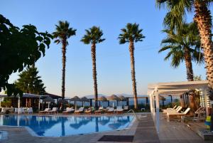 a resort pool with palm trees and lounge chairs at Villa Eugenia in Theologos