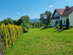 a house on a hill with a green yard at Domek w okolicy Karpacza in Marczyce