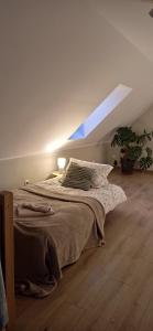 a bedroom with a bed in a room with a window at Domek w okolicy Karpacza in Marczyce