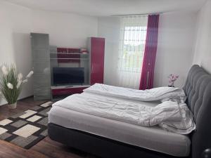 a bedroom with a bed and a flat screen tv at DanMa Ferienwohnung Apartment-Gemeinschaftsküche in Laubach