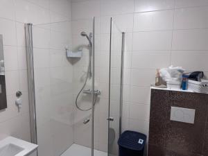 a bathroom with a shower with a glass door at DanMa Ferienwohnung Apartment-Gemeinschaftsküche in Laubach +34 photos