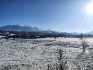 a field covered in snow with mountains in the background at Apartament Alice & Denis in Tohanu Nou