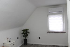 a white room with a window and a potted plant at Gemütliche Wohnung in Mendig in Mendig