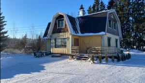 a small house in the snow with snow on the ground at Villa Freia in Nukari