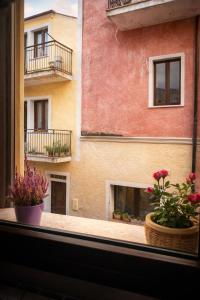 a view from a window of a building with flowers at Sa domo de ziu Pedru in Sennori