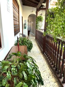 a hallway with lots of plants in a building at Santa Alejandría Hotel in Cartagena de Indias