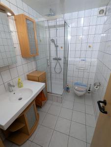 a bathroom with a shower and a sink and a toilet at Apartment Kraft in Aßlar