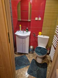 a bathroom with a toilet and a sink at Miodowa Chatka in Brzegi +56 photos