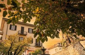 a building in the background with a tree at The Queens House in Bellinzona