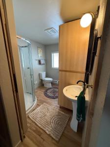 a bathroom with a sink and a shower and a toilet at Miller Cabin in McCall +23 photos