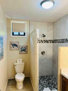 a bathroom with a toilet and a shower at The Flying Toucan Beach Rentals in Placencia +7 photos