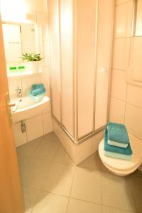 a bathroom with a shower and a toilet and a sink at Landhaus Zoppoth in Kötschach +27 photos