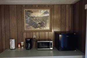a microwave sitting on a counter with a picture on the wall at Cozy Cabin in Packwood in Randle