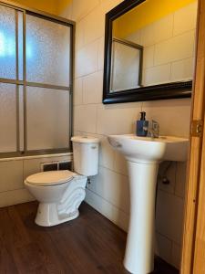 a bathroom with a toilet and a sink and a mirror at Cabañas Mc Chelo Pelluhue in Pelluhue +18 photos