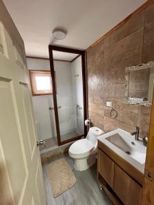 a bathroom with a toilet and a sink and a mirror at Departamentos Confluencia in Cochrane
