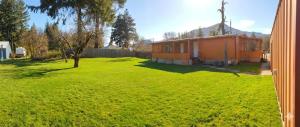 a house in a grassy yard with a tree at Cozy Cabin in Packwood in Randle