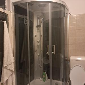 a shower with a glass door in a bathroom at Tobyta nu primesc santieristi si petrecareti in Bucharest